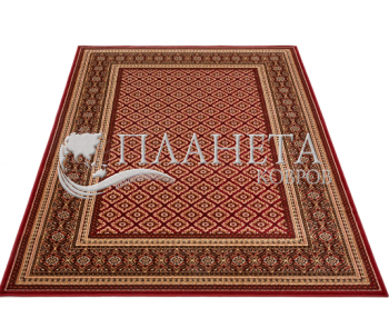 Синтетический ковер Standard Apium Terakota - высокое качество по лучшей цене в Украине